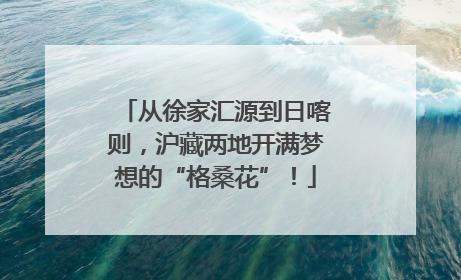从徐家汇源到日喀则，沪藏两地开满梦想的“格桑花”！