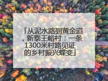 从泥水路到黄金道，新泰王峪村：一条1300米村路见证的乡村振兴蝶变