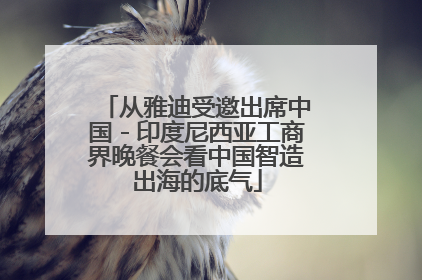 从雅迪受邀出席中国－印度尼西亚工商界晚餐会看中国智造出海的底气