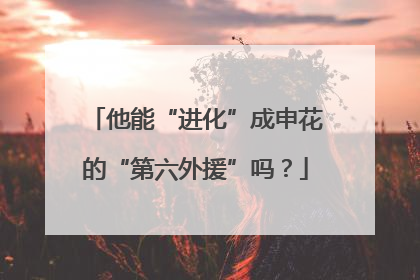 他能“进化”成申花的“第六外援”吗？
