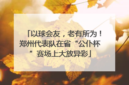 以球会友，老有所为！郑州代表队在省“公仆杯”赛场上大放异彩