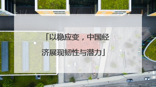 以稳应变，中国经济展现韧性与潜力