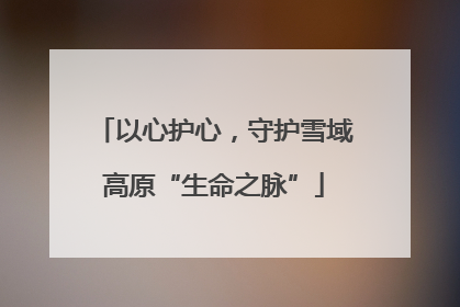 以心护心，守护雪域高原“生命之脉”