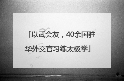 以武会友，40余国驻华外交官习练太极拳