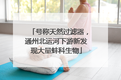 号称天然过滤器，通州北运河下游新发现大量蚌科生物