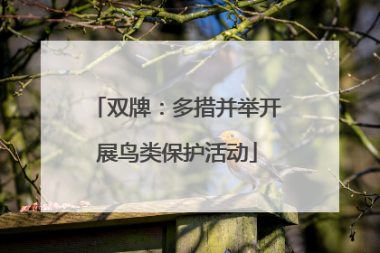 双牌：多措并举开展鸟类保护活动