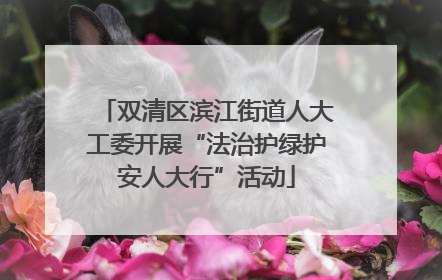 双清区滨江街道人大工委开展“法治护绿护安人大行”活动