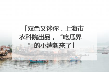 双色又迷你，上海市农科院出品，“吃瓜界”的小清新来了
