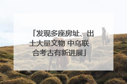 发现多座房址、出土大量文物 中乌联合考古有新进展