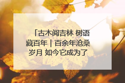 古木阅吉林 树语藏百年｜百余年沧桑岁月 如今它成为了“镇园之宝”