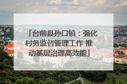 台前县孙口镇：强化村务监督管理工作 推动基层治理高效能