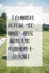台柳路社区开展“红柳情”便民服务大集 电器维修十分火爆