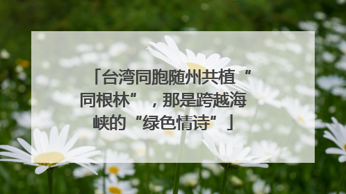 台湾同胞随州共植“同根林”，那是跨越海峡的“绿色情诗”