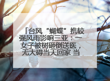 台风“蝴蝶”携较强风雨影响三亚：一女子被树砸倒送医，无大碍当天回家 当地已紧急清障