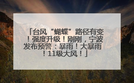 台风“蝴蝶”路径有变！强度升级！刚刚，宁波发布预警：暴雨！大暴雨！11级大风！