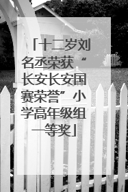十二岁刘名丞荣获“长安长安国赛荣誉”小学高年级组一等奖