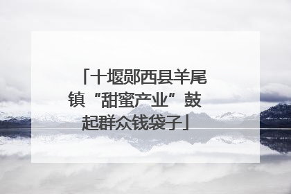 十堰郧西县羊尾镇“甜蜜产业”鼓起群众钱袋子