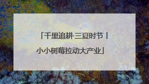 千里追耕·三夏时节丨小小树莓拉动大产业