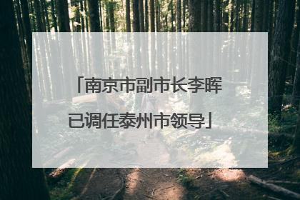 南京市副市长李晖已调任泰州市领导