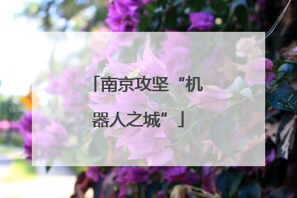 南京攻坚“机器人之城”