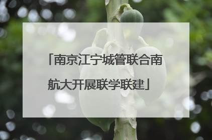 南京江宁城管联合南航大开展联学联建