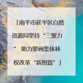 南平市延平区自然资源局坚持“三聚力” 助力擎画集体林权改革“新图景”