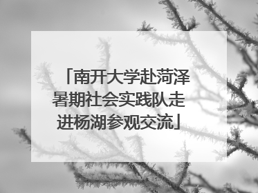 南开大学赴菏泽暑期社会实践队走进杨湖参观交流