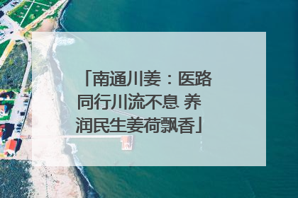 南通川姜：医路同行川流不息 养润民生姜荷飘香