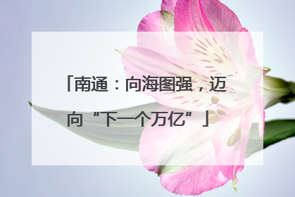 南通：向海图强，迈向“下一个万亿”