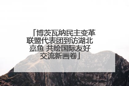 博茨瓦纳民主变革联盟代表团到访湖北嘉鱼 共绘国际友好交流新画卷