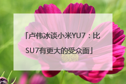 卢伟冰谈小米YU7：比SU7有更大的受众面