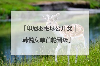 印尼羽毛球公开赛｜韩悦女单首轮晋级