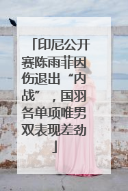 印尼公开赛陈雨菲因伤退出“内战”，国羽各单项唯男双表现差劲