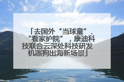 去国外“当球童”、“看家护院”，康迪科技联合云深处科技研发机器狗出海新场景