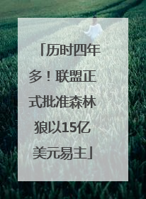 历时四年多！联盟正式批准森林狼以15亿美元易主