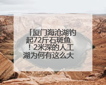 厦门海沧湖钓起72斤石斑鱼！2米深的人工湖为何有这么大的鱼？
