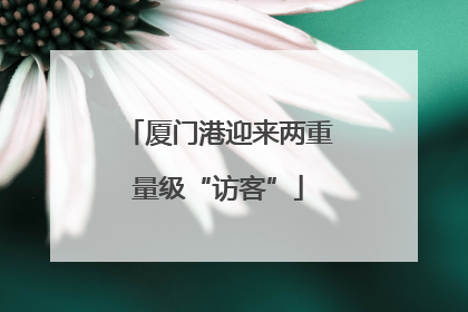 厦门港迎来两重量级“访客”