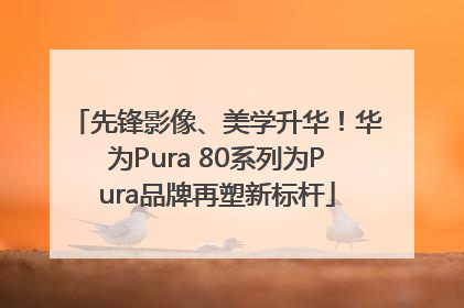 先锋影像、美学升华！华为Pura 80系列为Pura品牌再塑新标杆