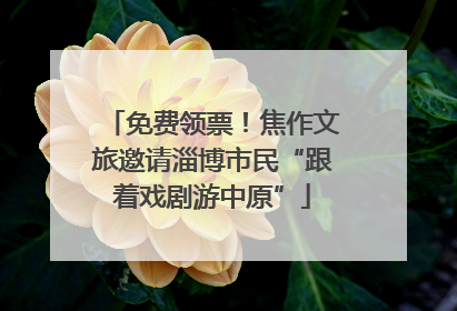 免费领票！焦作文旅邀请淄博市民“跟着戏剧游中原”
