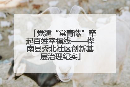 党建“常青藤”牵起百姓幸福线——桦南县秀北社区创新基层治理纪实