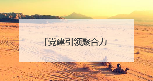 党建引领聚合力 纾困解难促发展