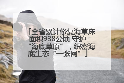 全省累计修复海草床面积938公顷 守护“海底草原”，织密海底生态“一张网”