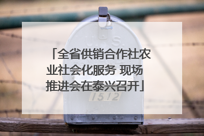 全省供销合作社农业社会化服务 现场推进会在泰兴召开