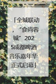 全城联动，“食尚蓉城”2025成都啤酒音乐嘉年华正式启幕