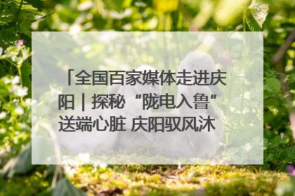 全国百家媒体走进庆阳｜探秘“陇电入鲁”送端心脏 庆阳驭风沐光点亮齐鲁万家