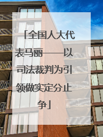 全国人大代表马丽——以司法裁判为引领做实定分止争