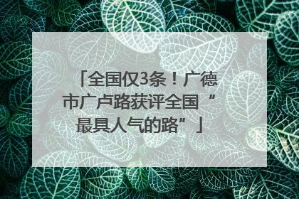 全国仅3条！广德市广卢路获评全国“最具人气的路”