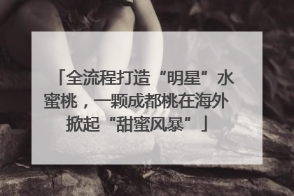 全流程打造“明星”水蜜桃，一颗成都桃在海外掀起“甜蜜风暴”
