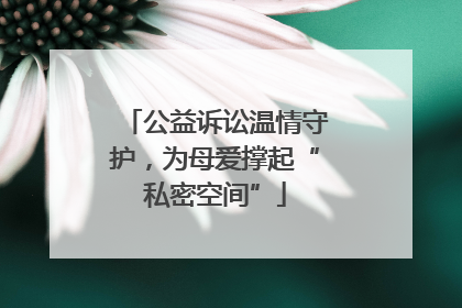 公益诉讼温情守护，为母爱撑起“私密空间”
