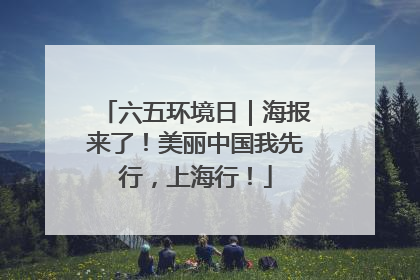 六五环境日｜海报来了！美丽中国我先行，上海行！